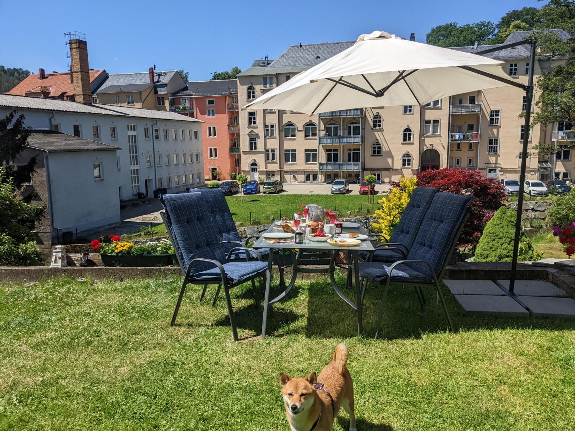 Uo2 - Urlaubsmagie - Garten, Whirlpool, Sauna Apartment Sebnitz Luaran gambar